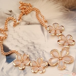 اكسسوارات ماكس