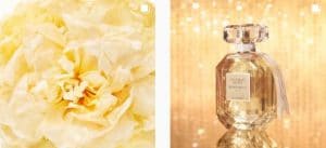 فيكتوريا سيكرت انستقرام عطور منعشة للغاية تتناسب مع جميع المناسبات