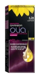 صبغة غارنيه لون جرئ