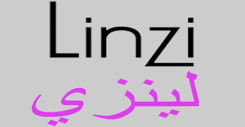 موقع لينزي