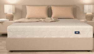 مرتبة اوريجينال