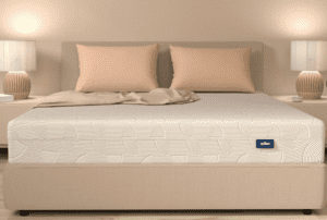 مرتبة اوريجينال موقع اريكا