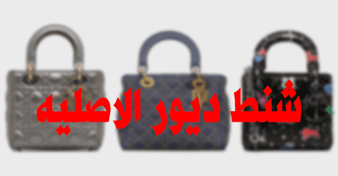 شنط ديور الاصليه