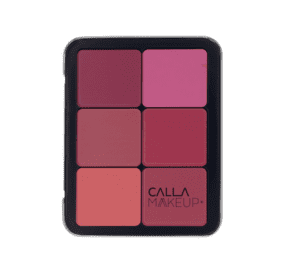 مجموعة الوجه الأساسي