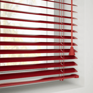 ستاير Antartica