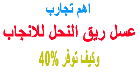 تجارب عسل ريق النحل للانجاب