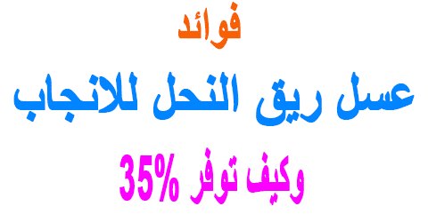 عسل ريق النحل للانجاب