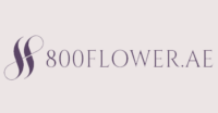 متجر 800 flowers
