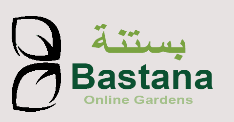 كوبون خصم bastana online