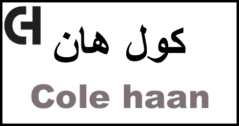 كول هان