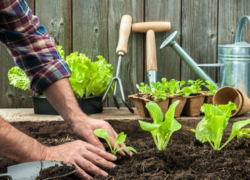 ملحقات الزراعة