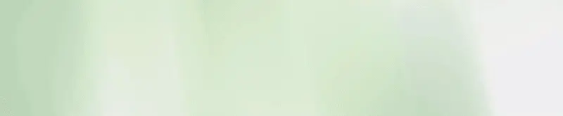 افوكادو - avokado