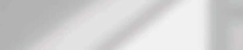 ويل بال-wellpal