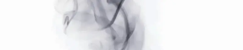 باريس غاليري - Paris Gallery