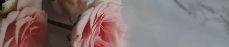 برفيوم كو - perfumeco