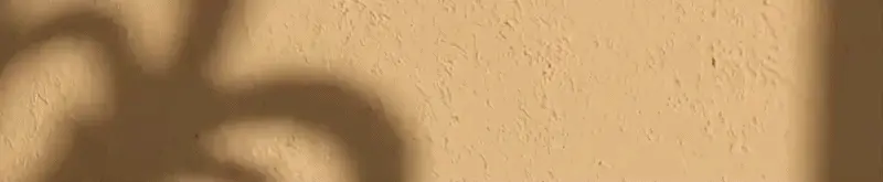 فيرنز اند بيتل-Ferns n Petals