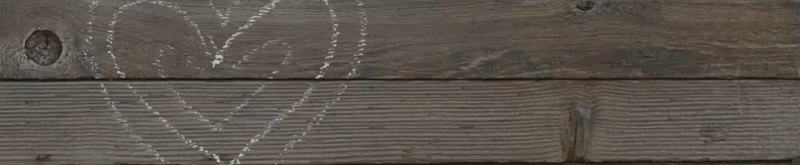 wondergifts-وندر جيفت