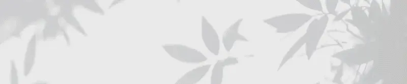 بان هوم - Pan Home