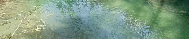 ناتشورال-Natural Touch