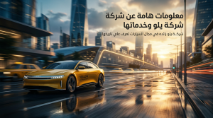 معلومات هامة عن شركة يلو وخدماتها